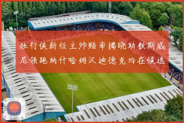 独行侠新任主帅赔率揭晓助教斯威尼领跑纳什哈姆汉迪德克均在候选之中